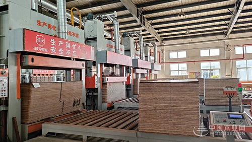 福慶孕嬰板綠色工廠開放日 領(lǐng)略品質(zhì)工藝,守護(hù)孕嬰未來