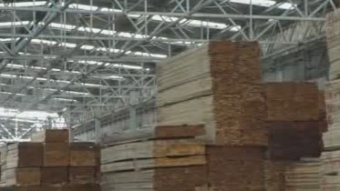 園林木業(yè)城整合中小企業(yè) 正在推動(dòng)林業(yè)國際化進(jìn)程