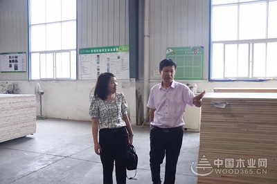 【專訪】信達木業王順兵:成功不是偶然的選擇,而是志同道合的結果