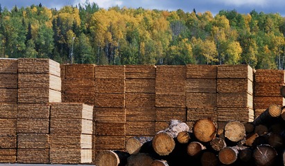 加拿大木業(yè)