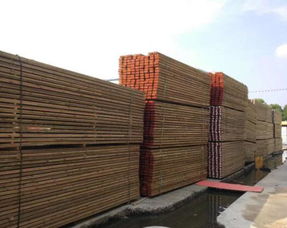 優(yōu)質(zhì)的芬蘭松防腐木推薦 玉林芬蘭松木