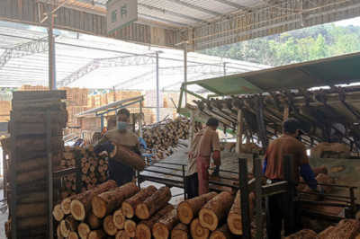 貴州興義三江口鎮木業產業振興引雁歸