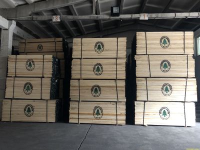 涓婃搗鏋Э鏈ㄤ笟鏈夐檺鍏徃