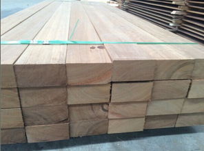 非洲菠蘿格涼亭 印尼菠蘿格涼亭 菠蘿格涼亭