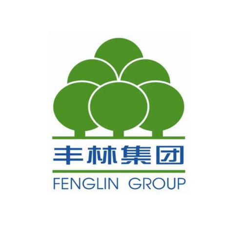 廣西豐林木業集團股份